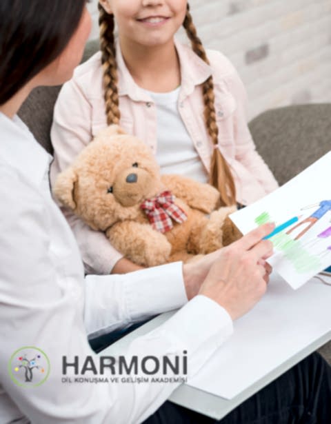 Harmoni Dil, Konuşma ve Gelişim Akademisi